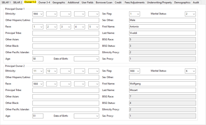 Comply SBL 1071 Owner 1-2 tab showing ethnicity, race, sex and marital status for two principal owners alongside derived BISG proxy values